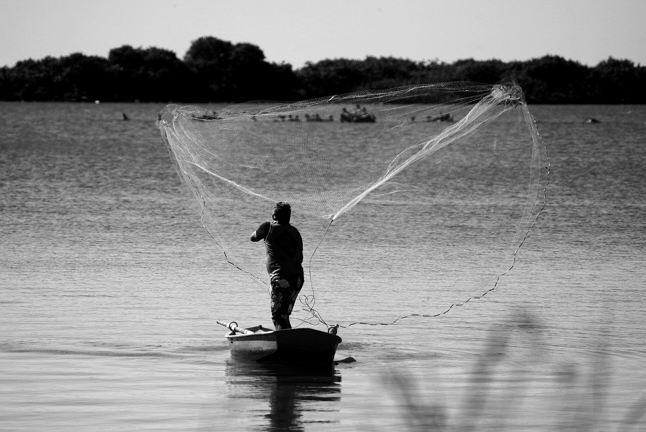 découvrez comment atteindre des émissions nulles nettes grâce à des stratégies durables et des pratiques respectueuses de l'environnement. explorez les solutions innovantes pour réduire votre empreinte carbone et contribuer à un avenir plus vert.