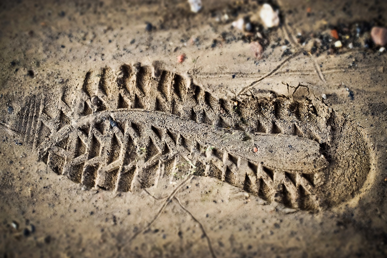 découvrez tout sur l'empreinte carbone : définition, importance et solutions pour réduire votre impact environnemental. apprenez comment améliorer votre mode de vie durable et contribuer à la préservation de notre planète.