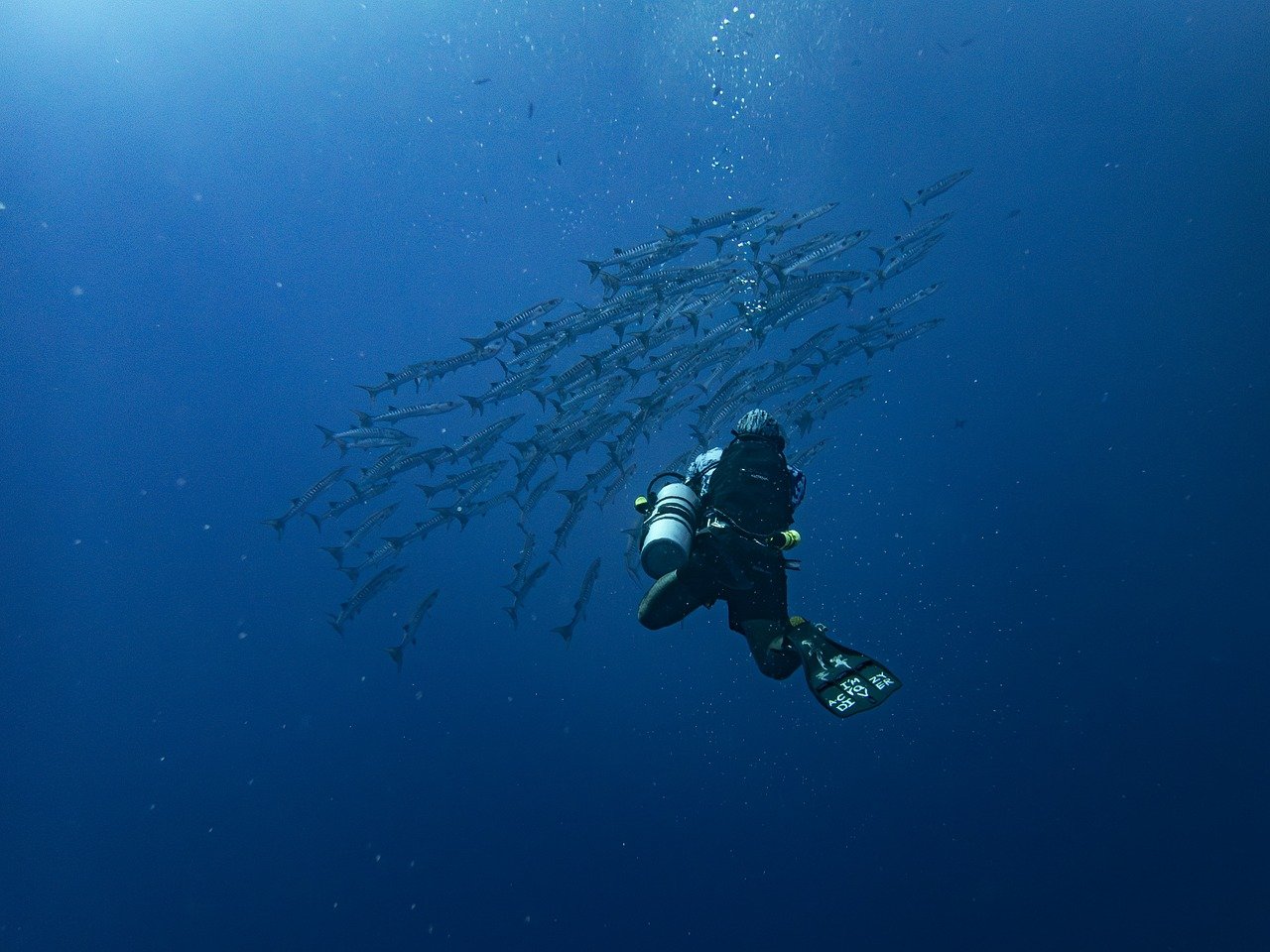 découvrez les merveilles de l'exploration, que ce soit à travers des voyages extraordinaires, des aventures en pleine nature ou des découvertes scientifiques. plongez dans l'inconnu et laissez-vous inspirer par le monde qui vous entoure.