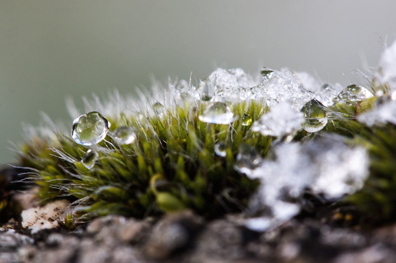 découvrez les enjeux et les solutions de la transition écologique, un processus essentiel pour préserver notre planète et garantir un avenir durable. explorez les initiatives innovantes, les politiques environnementales et les pratiques responsables qui contribuent à un monde plus vert.