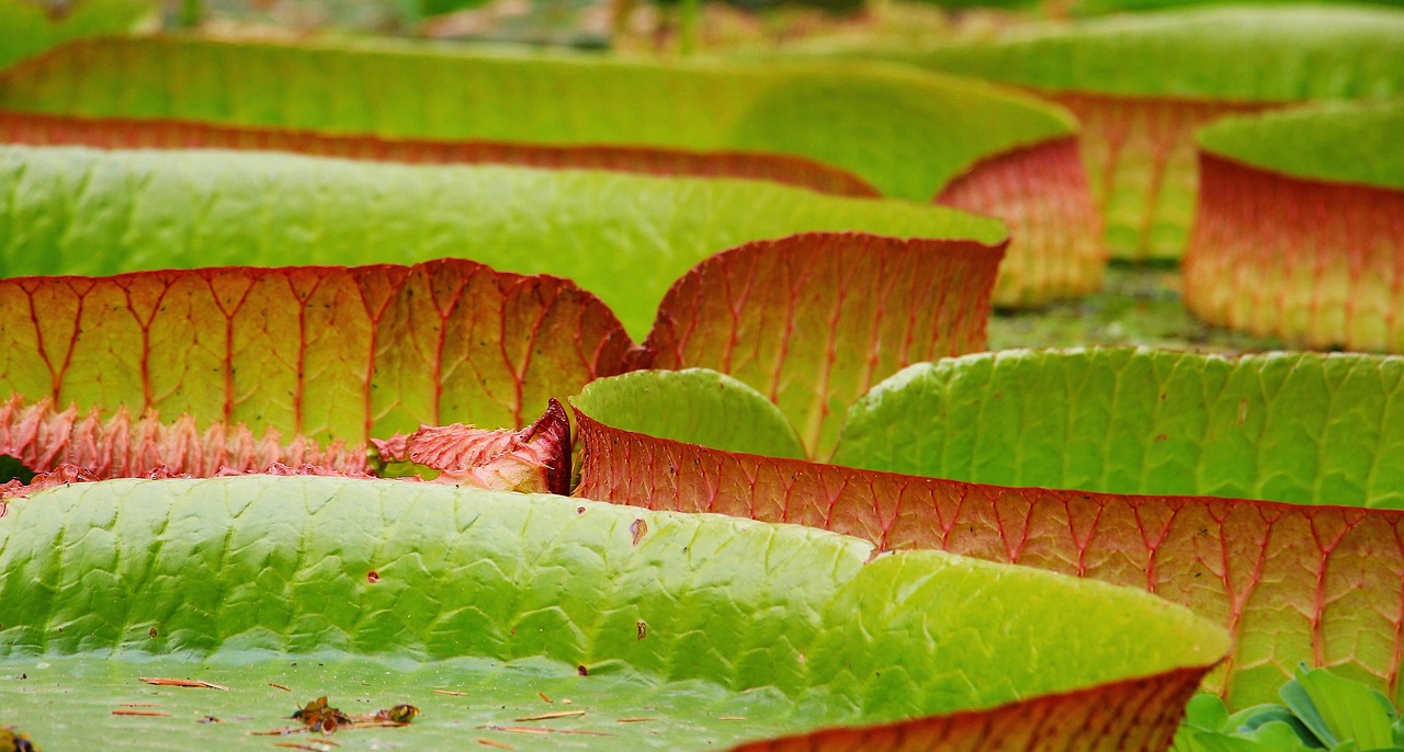 découvrez comment l'économie circulaire transforme notre façon de consommer et de produire en favorisant la durabilité, la réutilisation et la réduction des déchets. explorez les avantages d'un modèle économique respectueux de l'environnement pour un avenir durable.