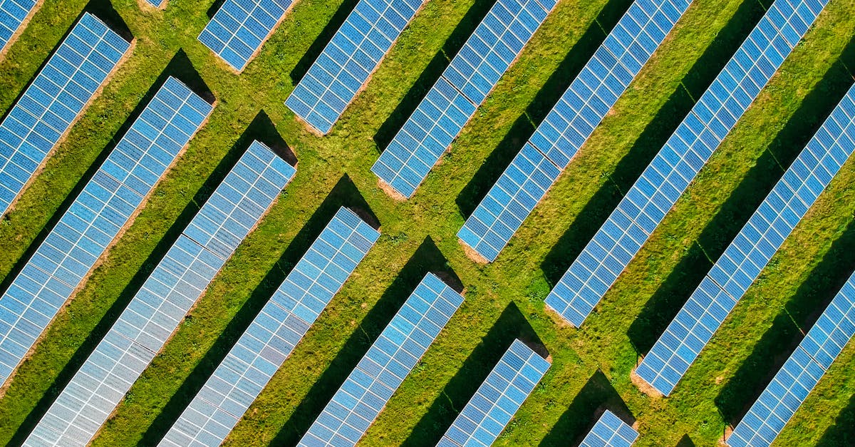 découvrez l'empreinte carbone, un indicateur clé de l'impact environnemental de nos activités. apprenez comment mesurer et réduire votre empreinte pour contribuer à la lutte contre le changement climatique.