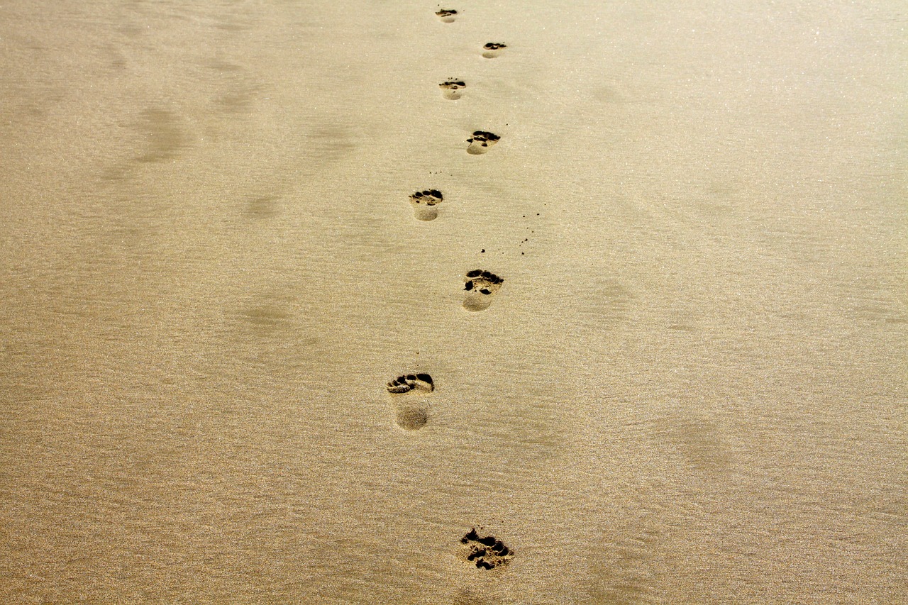 découvrez ce qu'est l'empreinte carbone, ses enjeux environnementaux et les moyens de réduire son impact sur la planète. informez-vous sur les actions à entreprendre pour vivre de manière plus durable.