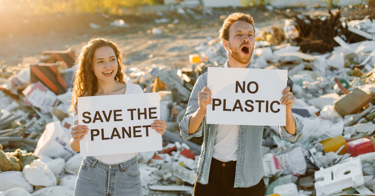 découvrez les enjeux écologiques majeurs de notre époque, des solutions innovantes pour préserver notre planète, et comment chaque individu peut contribuer à un avenir durable. informez-vous sur les défis liés au changement climatique, à la biodiversité et à la gestion des ressources naturelles.