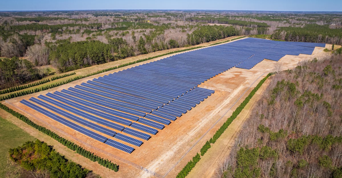 découvrez le développement durable, une approche innovante qui allie croissance économique, respect de l'environnement et justice sociale. explorez les pratiques et stratégies essentielles pour construire un avenir durable et responsable pour les générations futures.