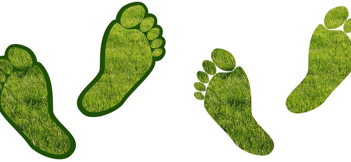 découvrez comment réduire votre empreinte carbone et contribuer à un avenir durable. explorez des conseils pratiques, des solutions innovantes et des actions concrètes pour diminuer l'impact environnemental de vos choix quotidiens.