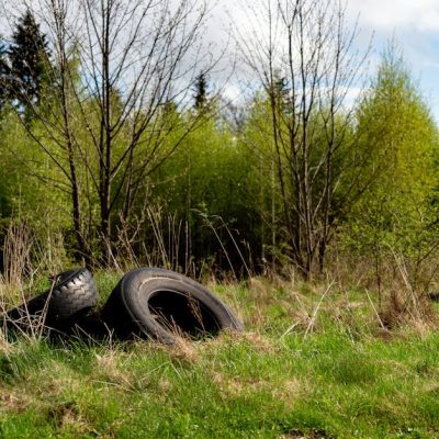 découvrez l'importance de la sensibilisation environnementale pour protéger notre planète. explorez des actions concrètes et des conseils pour adopter un mode de vie durable et responsable.
