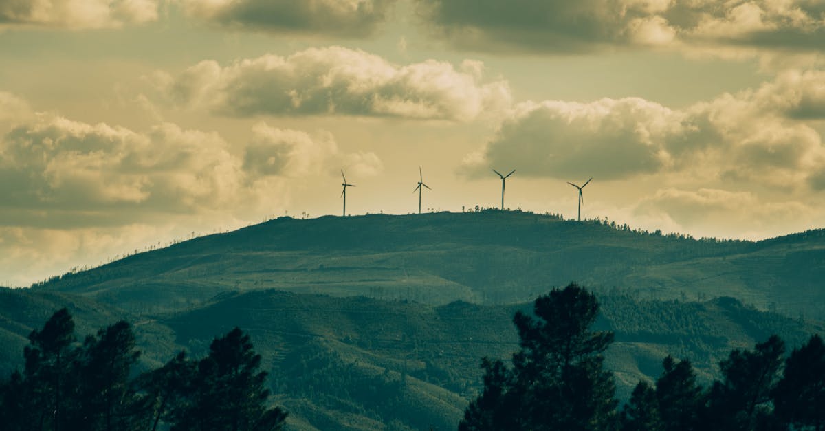 découvrez les pratiques de consommation durable qui favorisent un mode de vie respectueux de l'environnement. apprenez à réduire votre empreinte écologique tout en soutenant des produits éthiques et responsables.