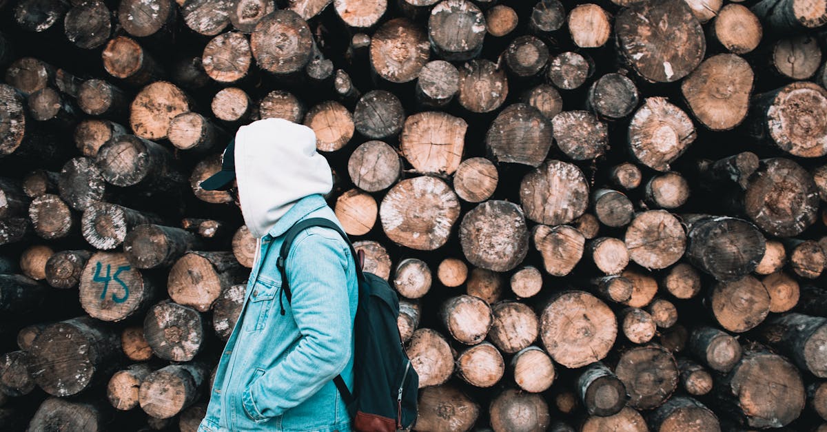 découvrez comment une économie durable peut transformer nos sociétés et préserver notre planète. explorez des pratiques innovantes et responsables qui favorisent la croissance tout en respectant l'environnement.