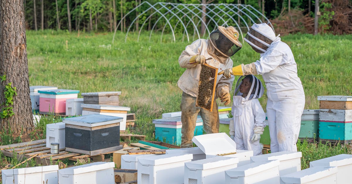 découvrez l'importance de l'éducation environnementale pour sensibiliser aux enjeux écologiques. apprenez comment promouvoir la durabilité et protéger notre planète grâce à des initiatives éducatives engages.