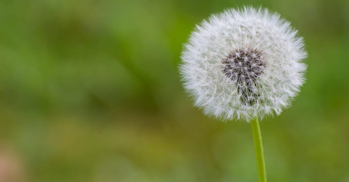 découvrez les droits environnementaux, un ensemble de principes qui protègent notre planète et garantissent à chacun un environnement sain. informez-vous sur leur importance, leur impact sur la justice sociale et les actions à entreprendre pour les défendre.