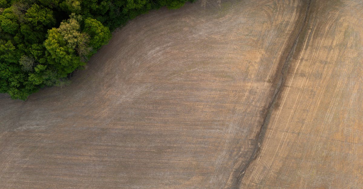 découvrez les avantages du télétravail durable, une solution innovante qui allie flexibilité professionnelle et respect de l'environnement. apprenez comment adopter des pratiques écoresponsables tout en optimisant votre productivité depuis chez vous.